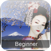 Beginner