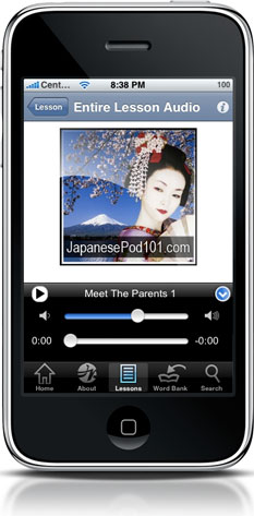 Pocket Japanese